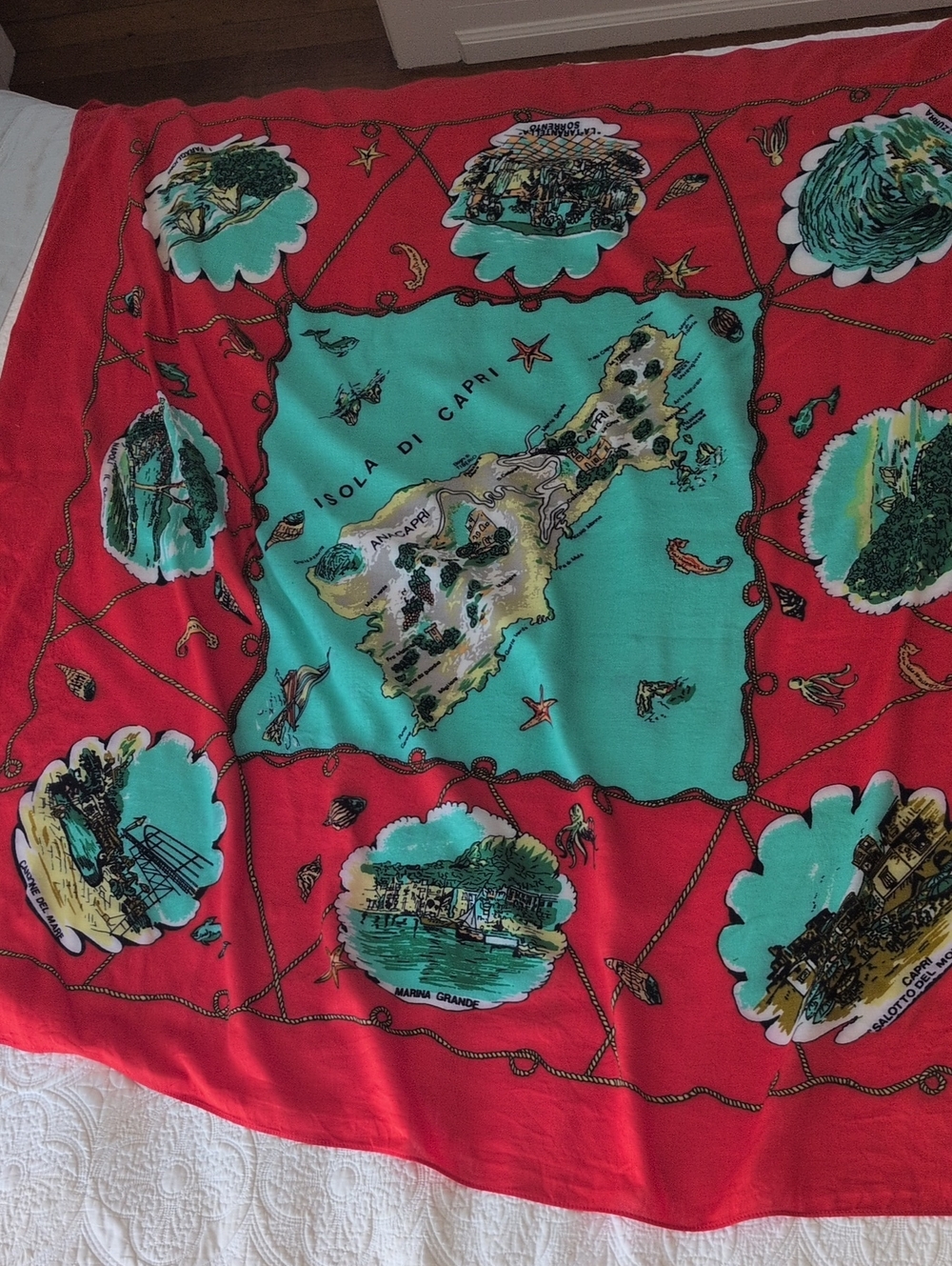 J. Crew Capri Map Scarf in Red and Teal